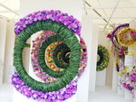 16032018_Samsung Smartphone Galaxy Edge S7_Hong Kong Flower Show 2018 in Victoria Park00076