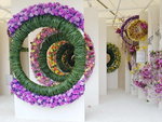 16032018_Samsung Smartphone Galaxy Edge S7_Hong Kong Flower Show 2018 in Victoria Park00077