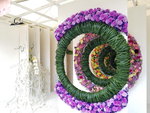 16032018_Samsung Smartphone Galaxy Edge S7_Hong Kong Flower Show 2018 in Victoria Park00078