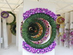 16032018_Samsung Smartphone Galaxy Edge S7_Hong Kong Flower Show 2018 in Victoria Park00080