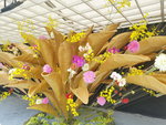 16032018_Samsung Smartphone Galaxy Edge S7_Hong Kong Flower Show 2018 in Victoria Park00084