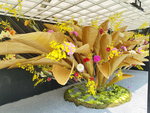 16032018_Samsung Smartphone Galaxy Edge S7_Hong Kong Flower Show 2018 in Victoria Park00085