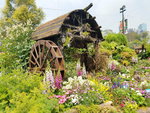 16032018_Samsung Smartphone Galaxy Edge S7_Hong Kong Flower Show 2018 in Victoria Park00088