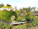 16032018_Samsung Smartphone Galaxy Edge S7_Hong Kong Flower Show 2018 in Victoria Park00091