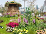 16032018_Samsung Smartphone Galaxy Edge S7_Hong Kong Flower Show 2018 in Victoria Park00093