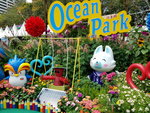 16032018_Samsung Smartphone Galaxy Edge S7_Hong Kong Flower Show 2018 in Victoria Park00126