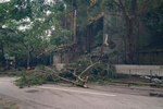 17092018_Debris after Typhoon Manghkut00008