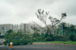 17092018_Debris after Typhoon Manghkut00022