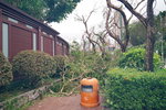 17092018_Debris after Typhoon Manghkut00025