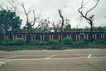 17092018_Debris after Typhoon Manghkut00026