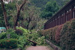 17092018_Debris after Typhoon Manghkut00030