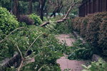 17092018_Debris after Typhoon Manghkut00031