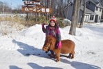 15022019_Nikon D5300_20 Round to Hokkaido_Momin Mini Pony Stable00007