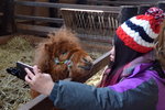 15022019_Nikon D5300_20 Round to Hokkaido_Momin Mini Pony Stable00016