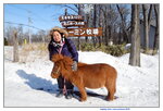 15022019_Nikon D5300_20 Round to Hokkaido_Momin Mini Pony Stable00005