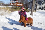 15022019_Nikon D5300_20 Round to Hokkaido_Momin Mini Pony Stable00006