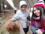 15022019_Nikon D5300_20 Round to Hokkaido_Momin Mini Pony Stable00017