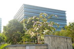 03032019_Hong Kong Science Park Snapshots00030