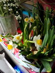 03022019_Lunar New Year Flowers at Home00018