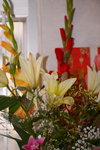 03022019_Lunar New Year Flowers at Home00026