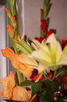 03022019_Lunar New Year Flowers at Home00028