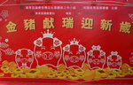 02022019_Sony A7 II_Lunar New Year Flower Fair at Kwai Fong Park00001