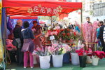 02022019_Sony A7 II_Lunar New Year Flower Fair at Kwai Fong Park00003