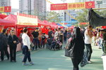 02022019_Sony A7 II_Lunar New Year Flower Fair at Kwai Fong Park00004