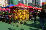 02022019_Sony A7 II_Lunar New Year Flower Fair at Kwai Fong Park00012