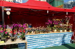 02022019_Sony A7 II_Lunar New Year Flower Fair at Kwai Fong Park00014