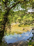 03112019_Samsung Smartphone Galaxy S10 Plus_Ma Liu Shui to Kat O and Tung Ping Chau_Tung Ping Chau00018