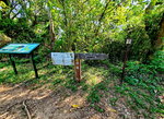 03112019_Samsung Smartphone Galaxy S10 Plus_Ma Liu Shui to Kat O and Tung Ping Chau_Tung Ping Chau00021