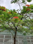 21072019_Sunny Bay Snapshots00022