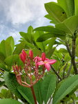 21072019_Sunny Bay Snapshots00023
