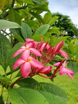 21072019_Sunny Bay Snapshots00024
