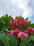 21072019_Sunny Bay Snapshots00025
