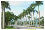 21072019_Sunny Bay Snapshots00028