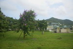 21072019_Sunny Bay Snapshots00035