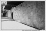 30062019_Taipo Waterfront Park Snapshots00006