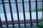 30062019_Taipo Waterfront Park Snapshots00010