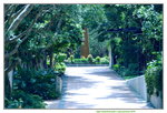 30062019_Taipo Waterfront Park Snapshots00016