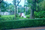 30062019_Taipo Waterfront Park Snapshots00019