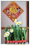 25012020_Lunar New Year_Flowers at Home00007