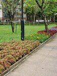 30052020_Lingnan Garden Snapshots00003