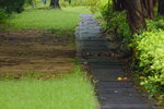 30052020_Lingnan Garden Snapshots00008