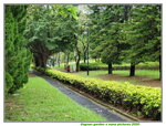 30052020_Lingnan Garden Snapshots00013