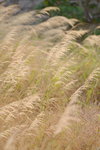 12012020__Sam Ka Tsuen Snapshots00005