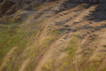 12012020__Sam Ka Tsuen Snapshots00007