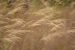 12012020__Sam Ka Tsuen Snapshots00008