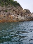 12052020_Sai Kung Ferry to Sharp Island00022